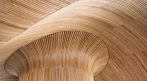 Curvy, wood-paneled ceiling and column