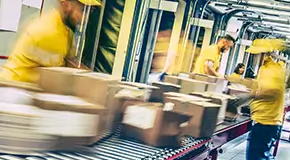 Workers in yellow rolling packages down a conveyor belt